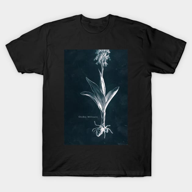 Cyanotype - Orchis Militaris - C T-Shirt by PixelHunter